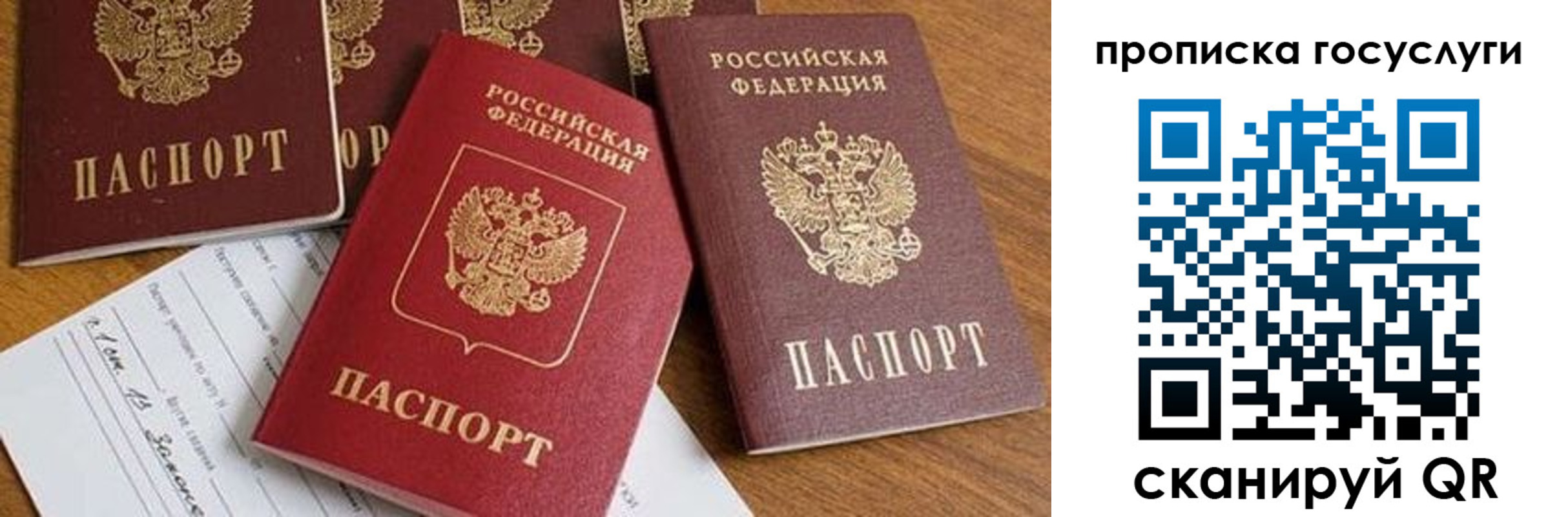прописка в Камне-на-Оби